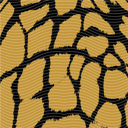 holographic Big- 393